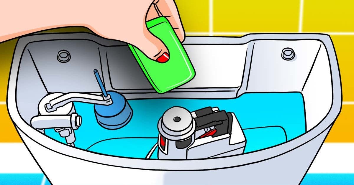 Jetez un savon dans le réservoir des WC : le truc géniale qui vous évite des ennuis