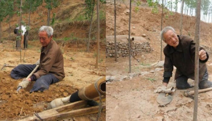 Un homme de soixante-dix ans a passé 20 ans et 17 500 arbres à planter