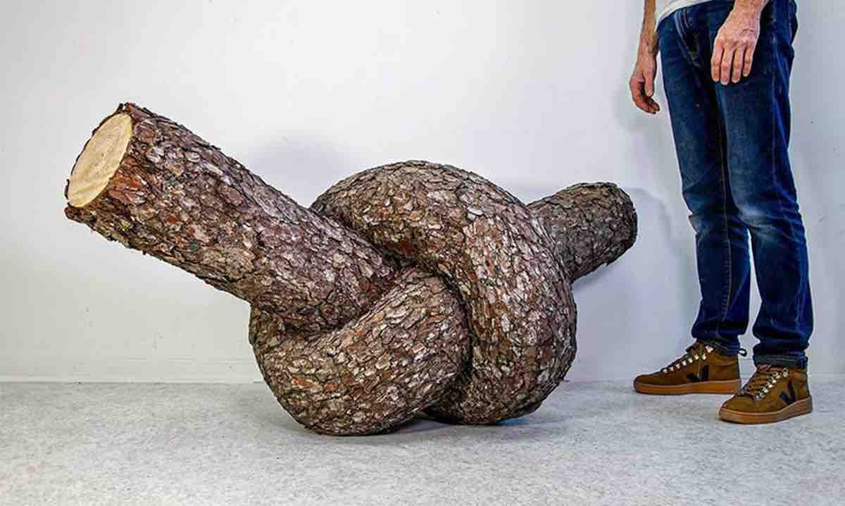 Les sculptures du français Christophe Guinet d’arbres tordus et noués sont surréalistes