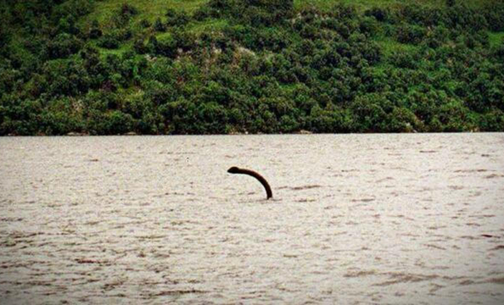 Le photographe a passé en revue les anciennes photos du lac Loch Ness, et a remarqué par accident la silhouette d’une énorme créature sur l’un d’eux. –