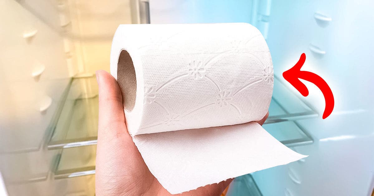 Pourquoi tout le monde met du papier toilette au réfrigérateur ?