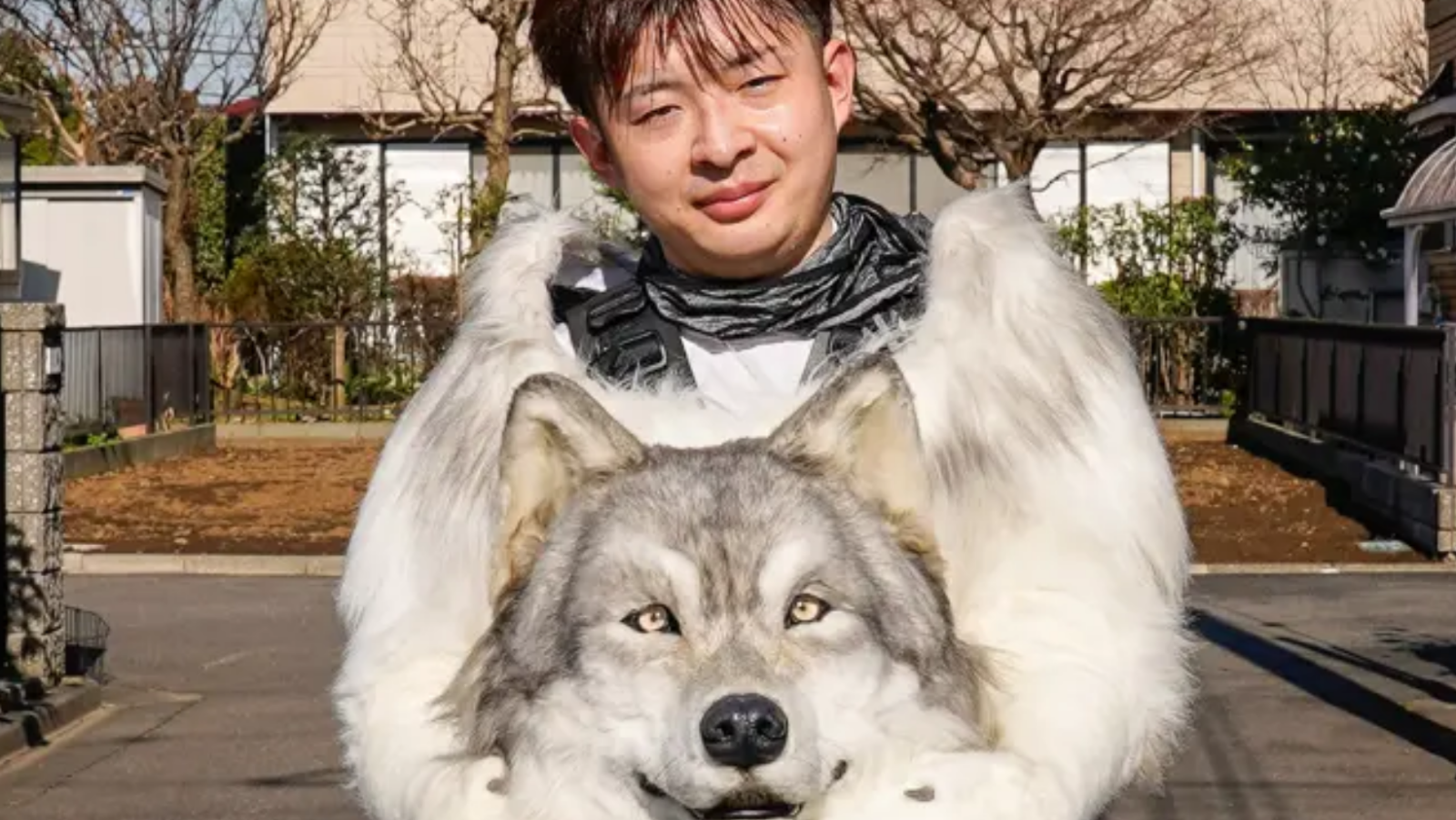 Un ingénieur japonais dépense une fortune pour un incroyable costume de loup