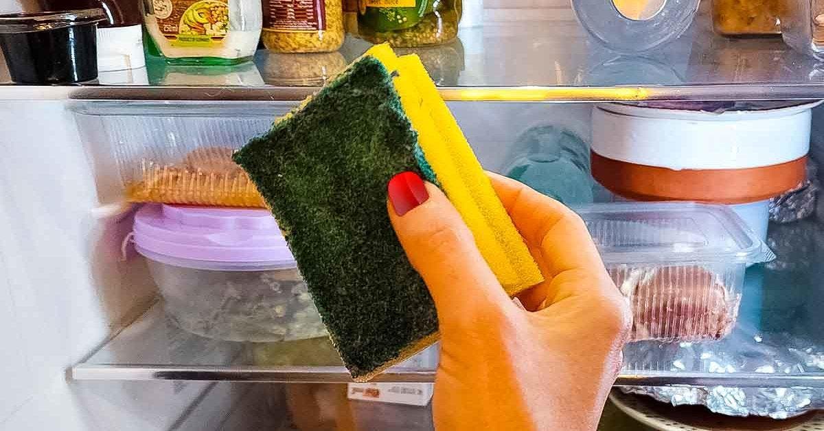 Mettez une éponge au frigo : l’astuce qui vous fera économiser de l’argent