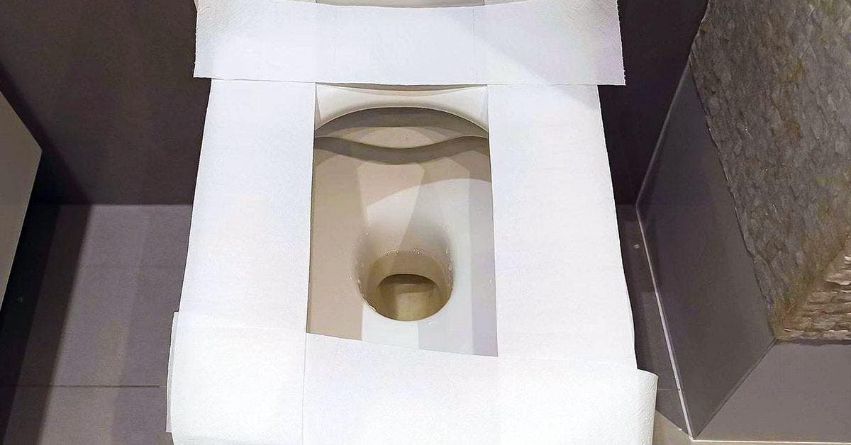 Voici pourquoi il est interdit de mettre de papier toilettes sur la cuvette des WC