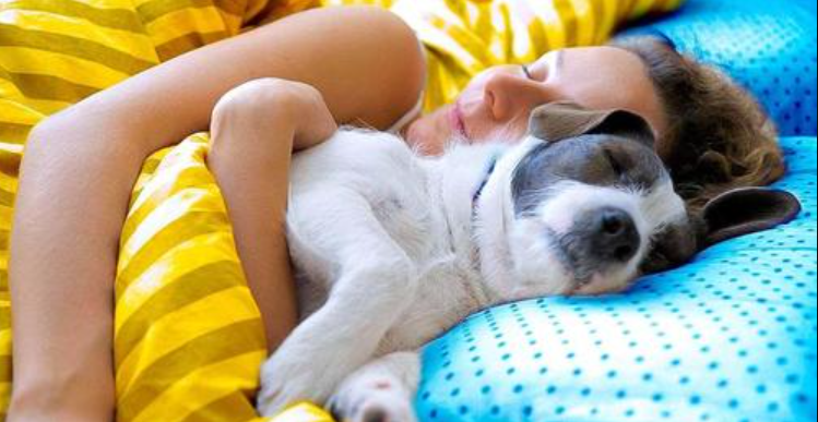 Les vétérinaires déconseillent de partager son lit avec son chien en hiver