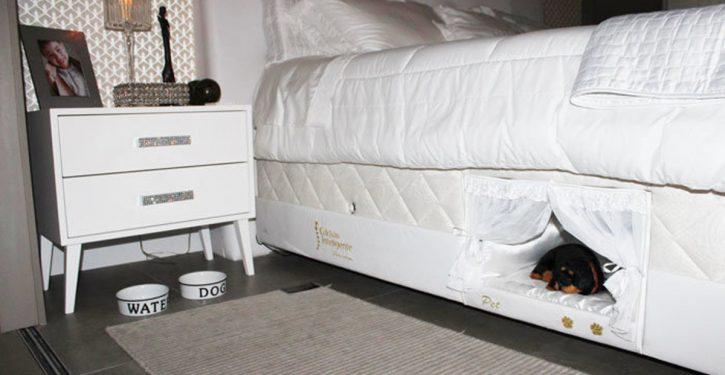 Ce lit contient un lit pour que votre chat ou votre chien dorme à côté de vous
