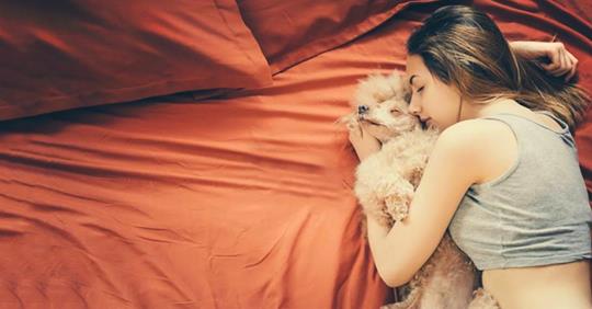 Dormir aux côtés d’un chien serait plus bénéfique qu’avec un être humain