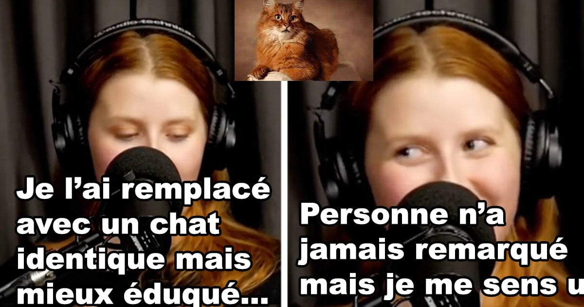 Un homme au Québec décide de remplacer subtilement le chat de sa blonde sans lui dire