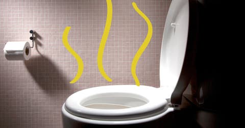 Versez du bicarbonate de soude dans les WC pour éliminer l’odeur d’urine
