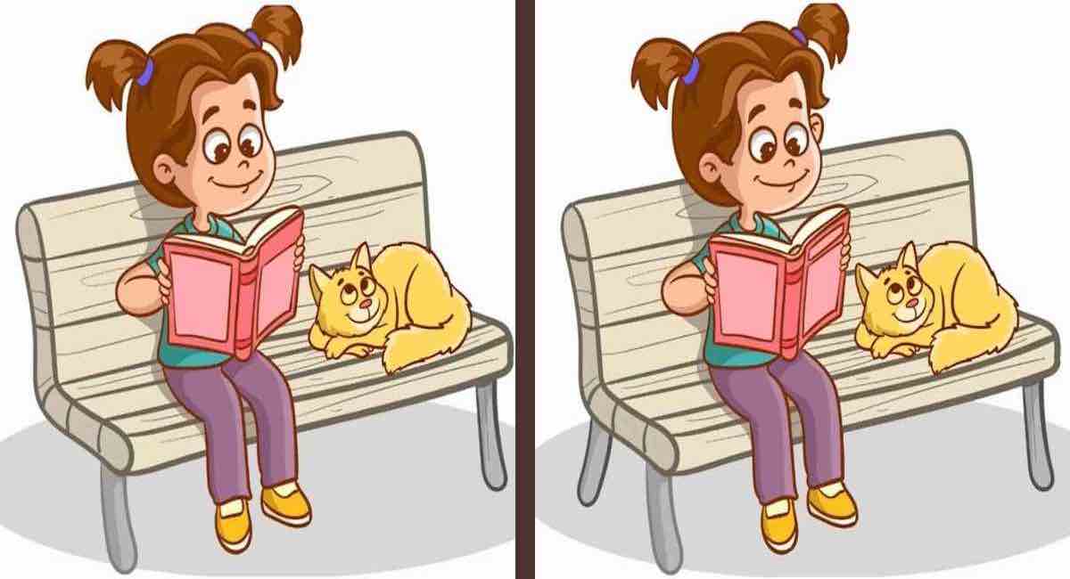 Repérez les 3 différences entre les images d’une fille et de son chat en 10 secondes !