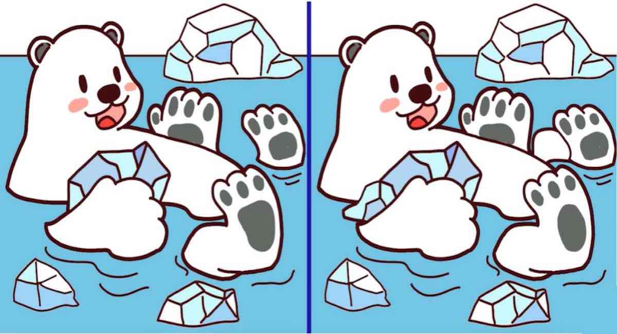 À quel point votre esprit est alerte ? Essayez de repérer 3 différences entre les images d’ours polaires en 8 secondes