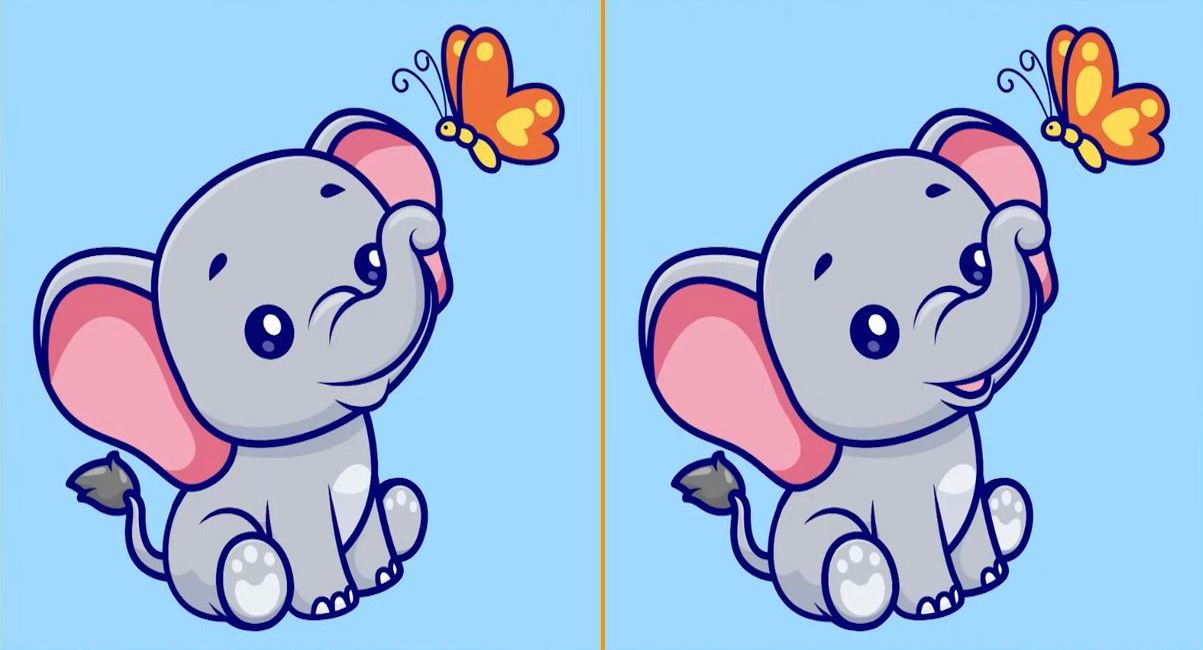 Pouvez-vous repérer les 3 différences entre les images du bébé éléphant jouant avec un papillon en 9 secondes ?