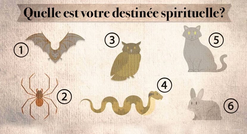 Quelle est votre destinée spirituelle? Choisissez un animal et découvrez-le!