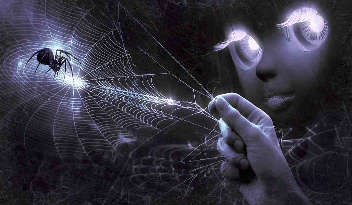 Quelle la signification spirituelle des araignées et que faire si vous en voyez régulièrement ?