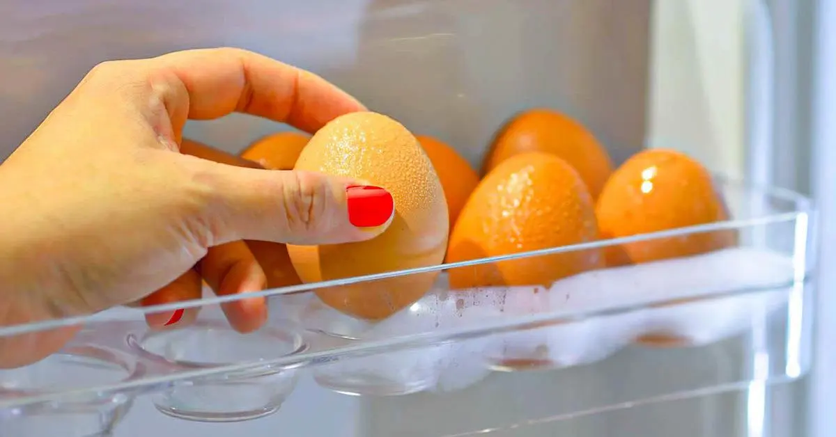 Pourquoi les œufs ne doivent pas être conservés au réfrigérateur ?
