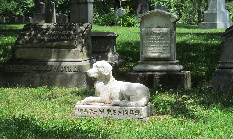 À New York, les animaux domestiques pourront être enterrés près des maîtres dans les cimetières »