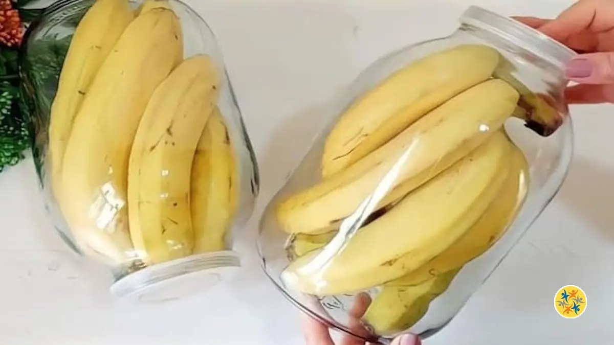 Ne Gaspillez plus les Bananes: 5 Conseils pour les Faire Durer
