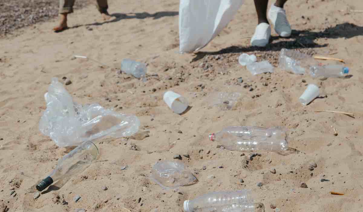 Pollution plastique : Un biologiste marin lance un avertissement près de deux décennies après avoir découvert la présence de microplastiques