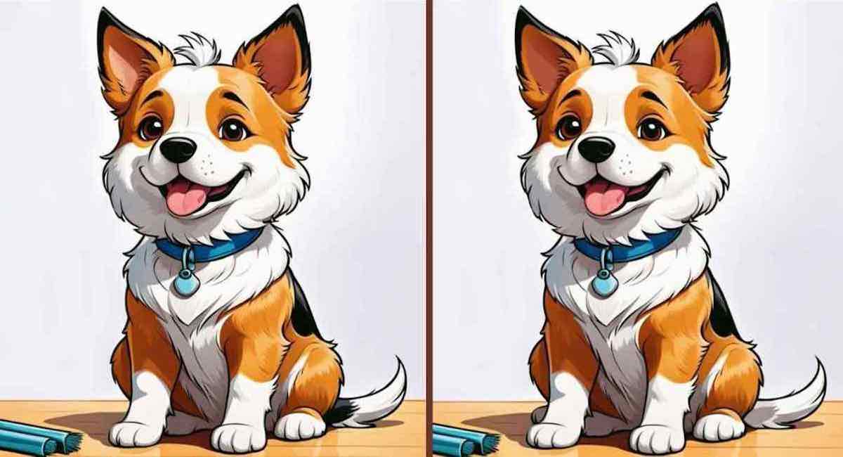 Pouvez-vous trouver les 3 différences entre les images d’un chien heureux en 12 secondes ?