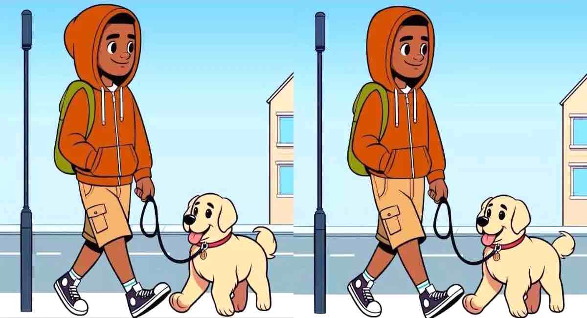 Pouvez -vous trouver les 3 différences entre les images d’un garçon avec son chien en 13 secondes ?