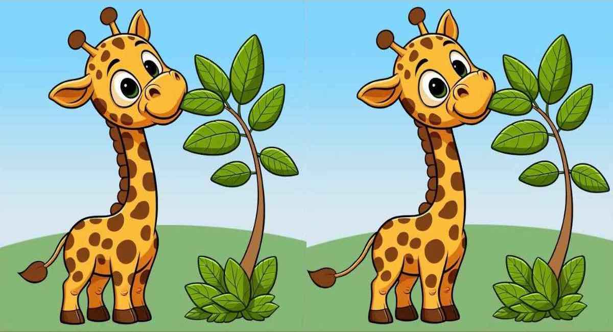 Arriverez-vous à trouver les 3 différences entre les images d’une girafe en 15 secondes ?