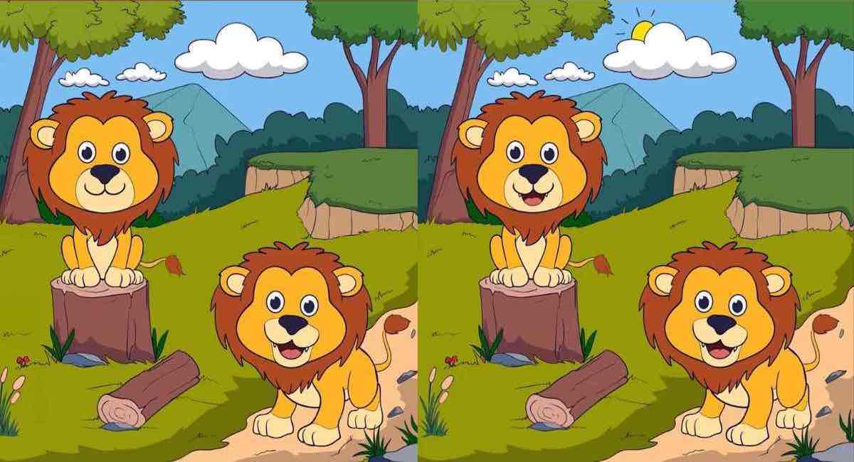 Arriverez-vous à trouver les 3 différences entre les images de deux lionceaux en 15 secondes ?