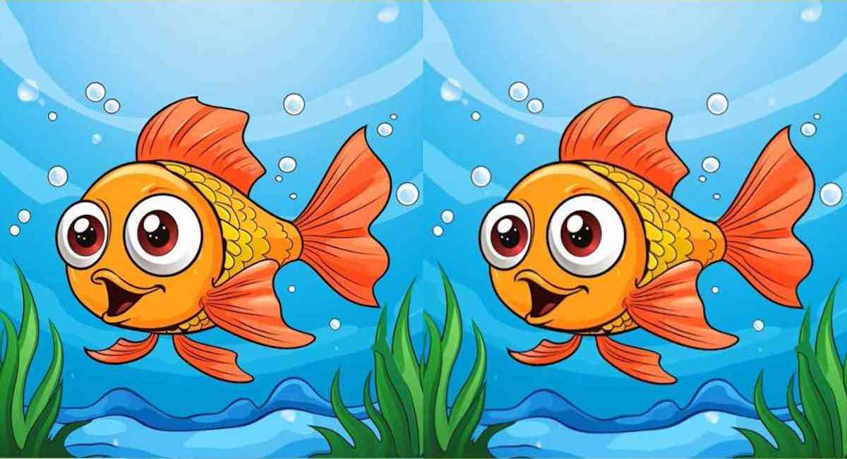 Pouvez -vous trouver les 3 différences entre les images d’un poisson dans la mer en 15 secondes ?