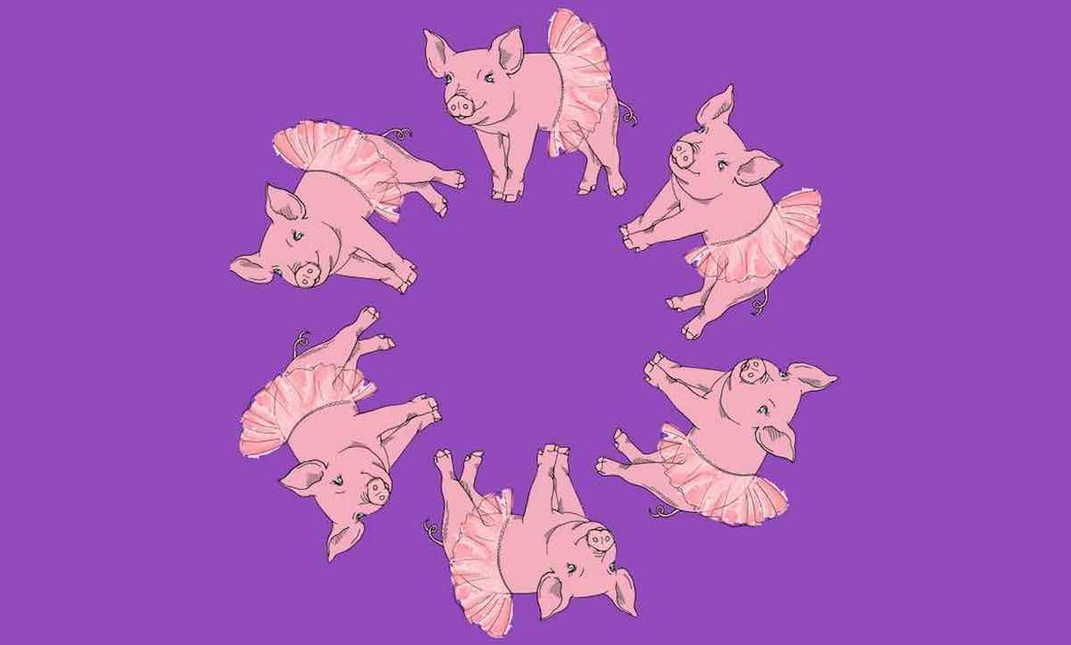 Test visuel : seuls les meilleurs peuvent trouver le cochon different en moins de 15 secondes !