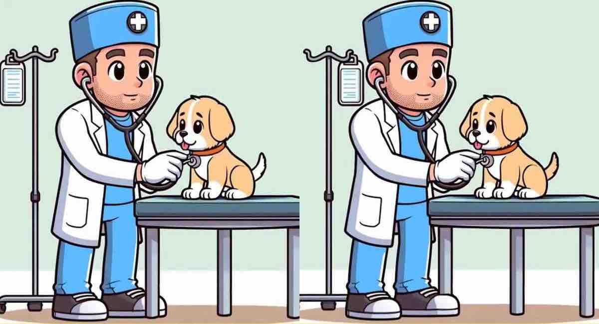 Pouvez-vous trouver les 3 différences entre les images d’un vétérinaire soignant un chien en 11 secondes ?