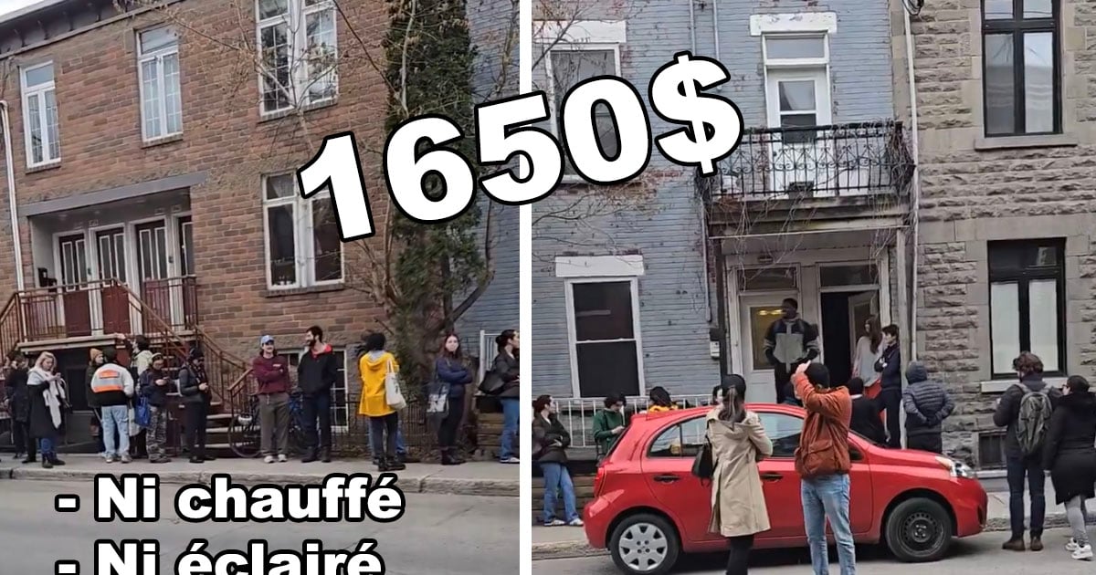 Une file monstrueuse pour un 4 et demi à 1650$ à Montréal
