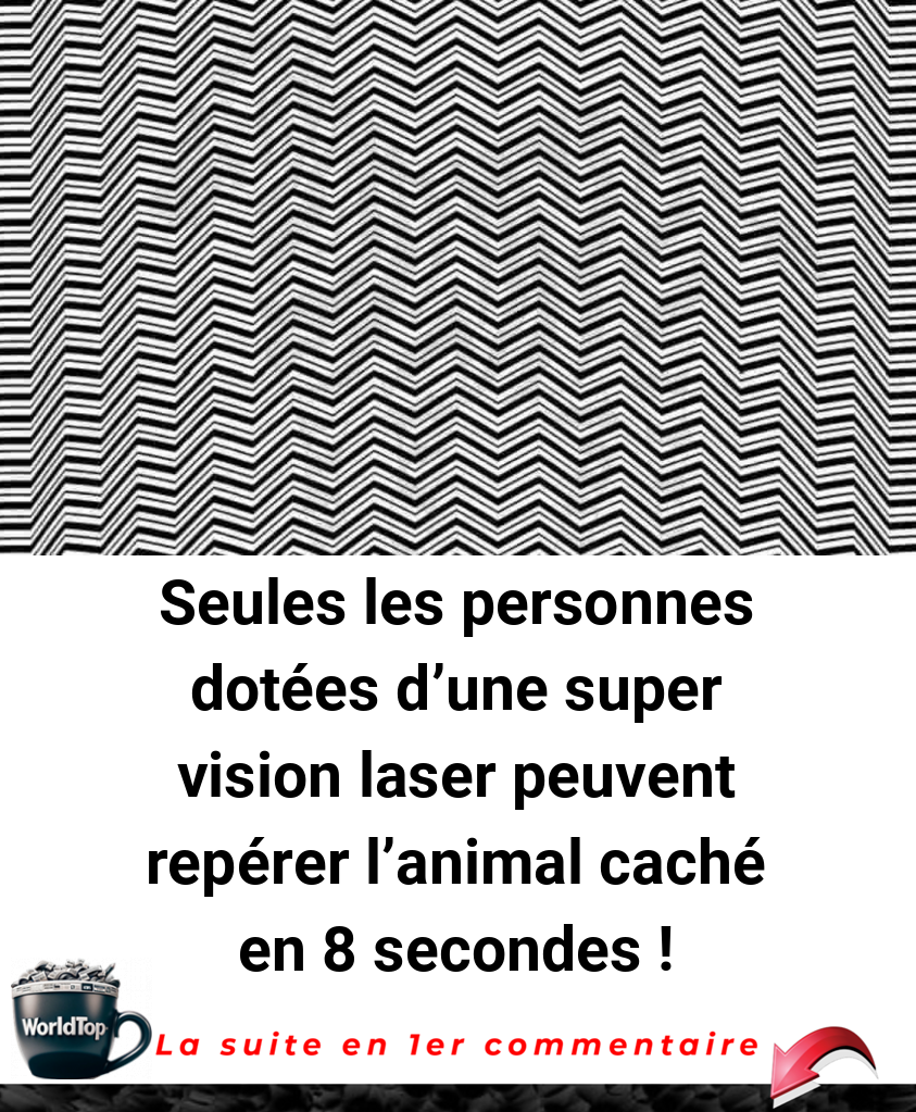 Seules les personnes dotées d'une super vision laser peuvent repérer l'animal caché en 8 secondes !