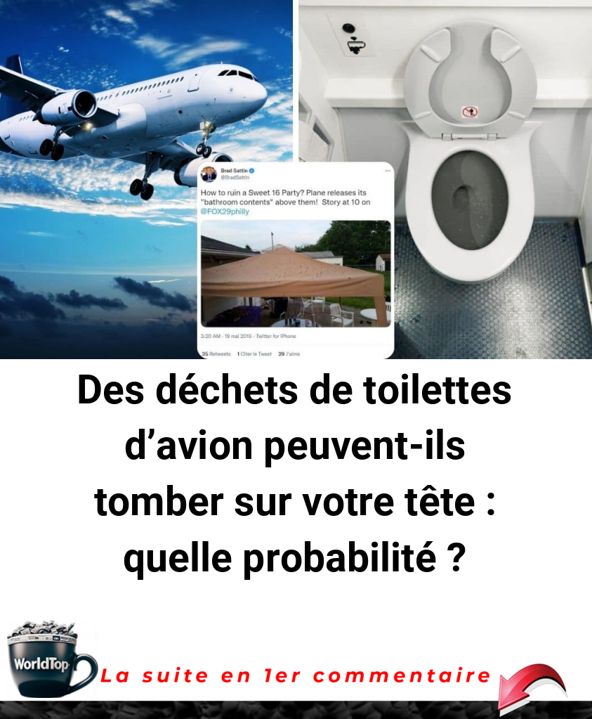 Des déchets de toilettes d'avion peuvent-ils tomber sur votre tête : quelle probabilité ?