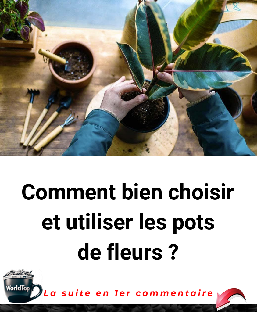 Comment bien choisir et utiliser les pots de fleurs ?