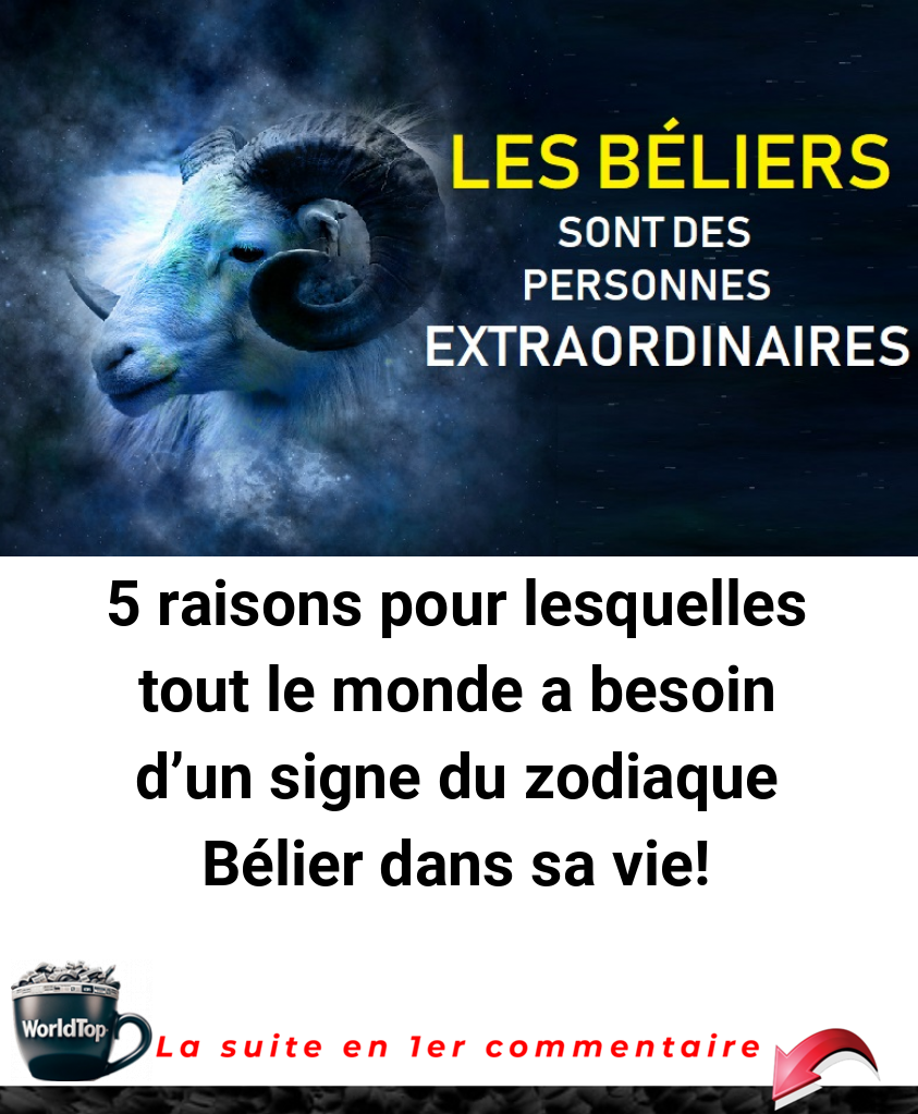 5 raisons pour lesquelles tout le monde a besoin d’un signe du zodiaque Bélier dans sa vie!