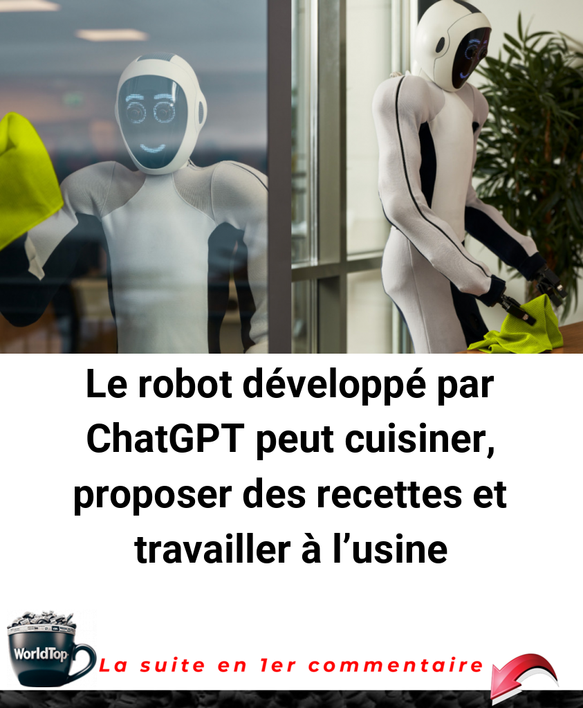 Le robot développé par ChatGPT peut cuisiner, proposer des recettes et travailler à l'usine