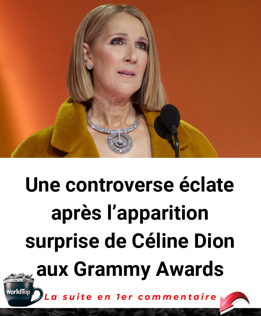Une controverse éclate après l'apparition surprise de Céline Dion aux Grammy Awards
