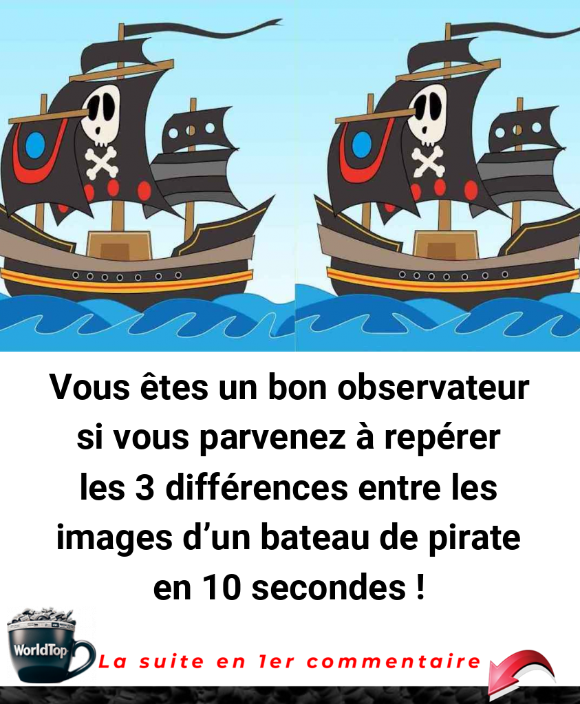 Vous êtes un bon observateur si vous parvenez à repérer les 3 différences entre les images d'un bateau de pirate en 10 secondes !