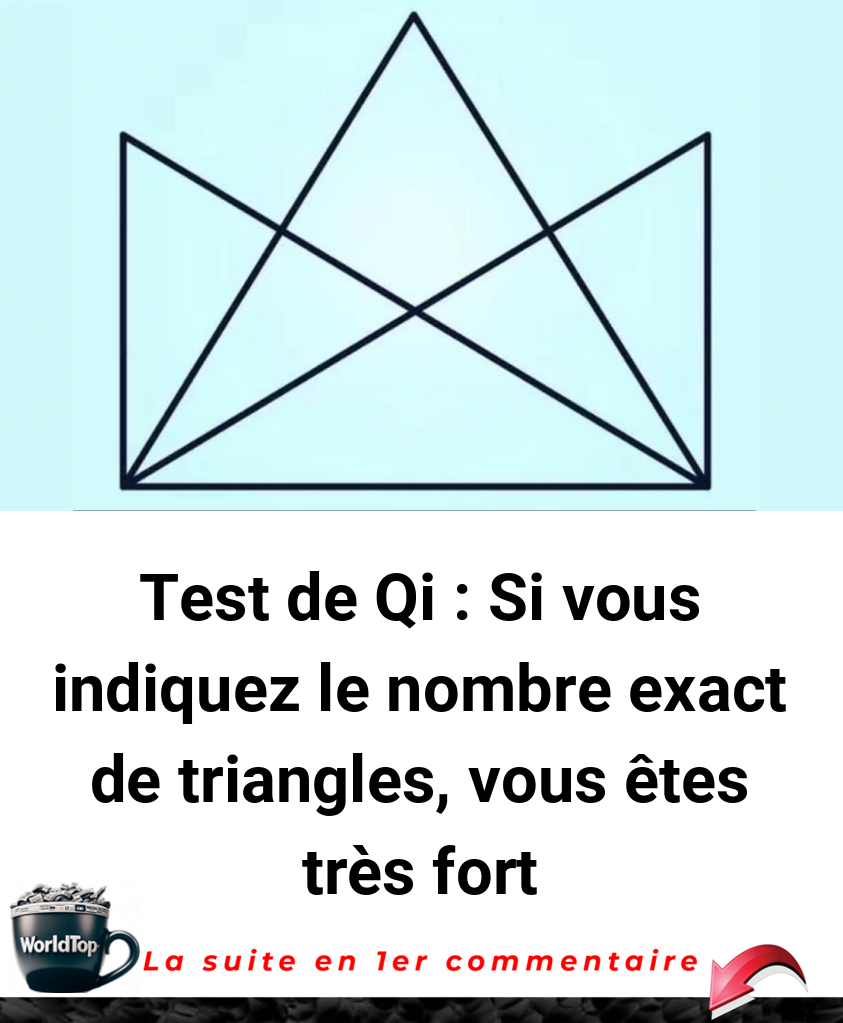 Test de Qi : Si vous indiquez le nombre exact de triangles, vous êtes très fort