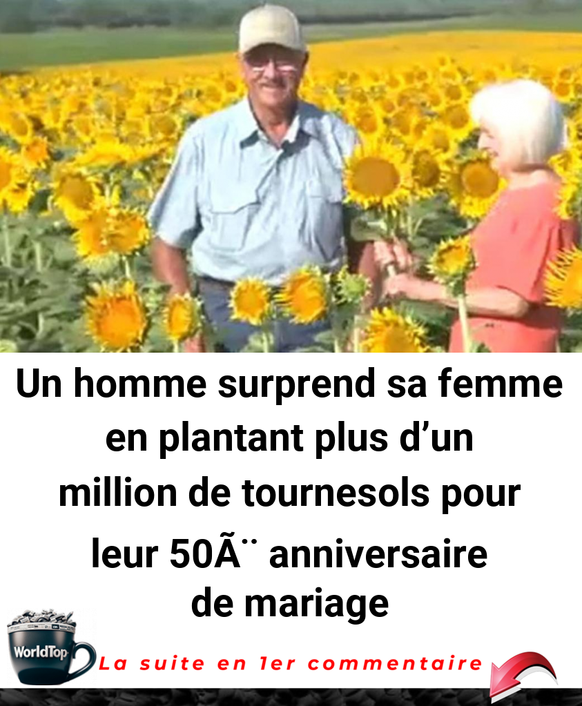 Un homme surprend sa femme en plantant plus d'un million de tournesols pour leur 50Ã¨ anniversaire de mariage