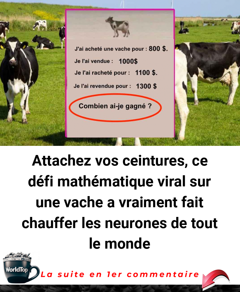 Attachez vos ceintures, ce défi mathématique viral sur une vache a vraiment fait chauffer les neurones de tout le monde