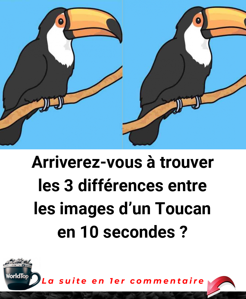 Arriverez-vous à trouver les 3 différences entre les images d'un Toucan en 10 secondes ?