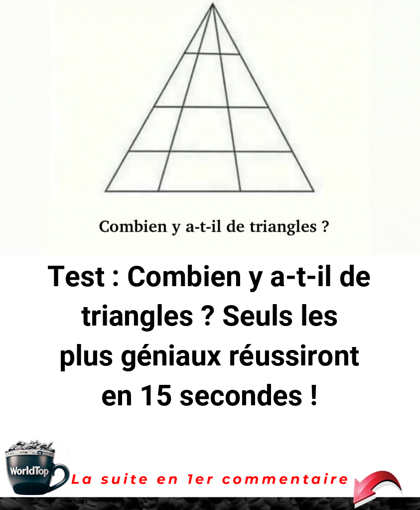 Test : Combien y a-t-il de triangles ? Seuls les plus géniaux réussiront en 15 secondes !