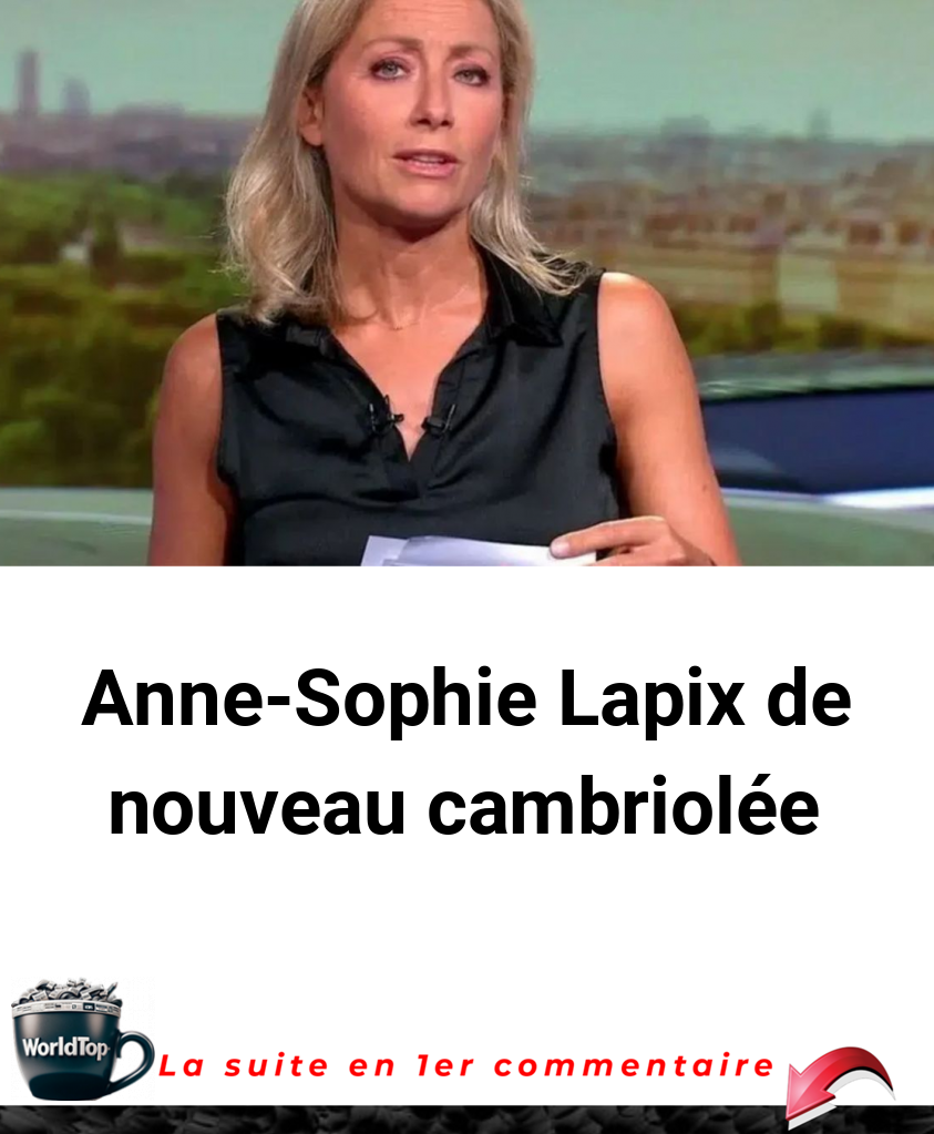 Anne-Sophie Lapix de nouveau cambriolée