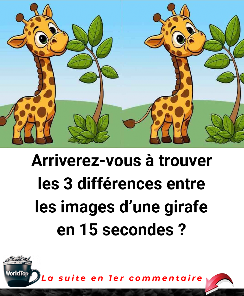 Arriverez-vous à trouver les 3 différences entre les images d'une girafe en 15 secondes ?