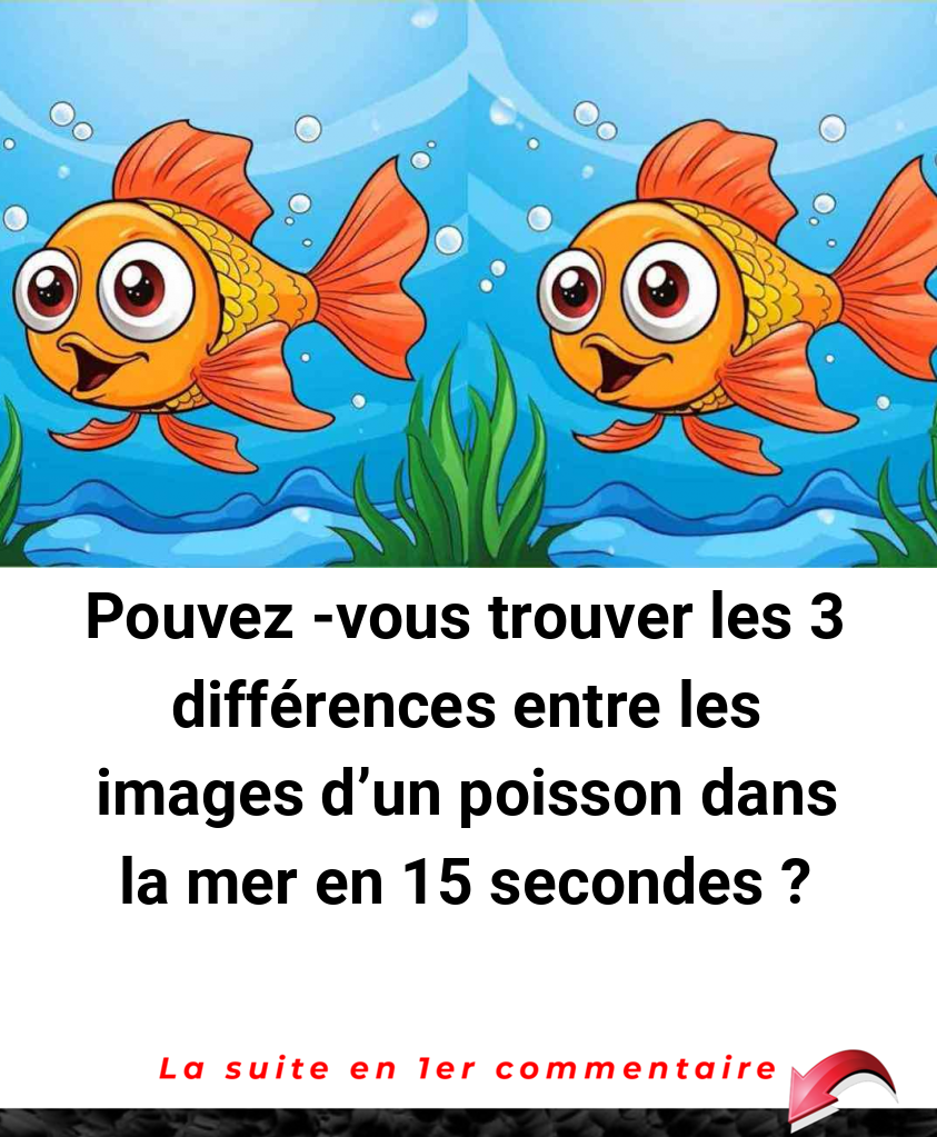 Pouvez -vous trouver les 3 différences entre les images d'un poisson dans la mer en 15 secondes ?