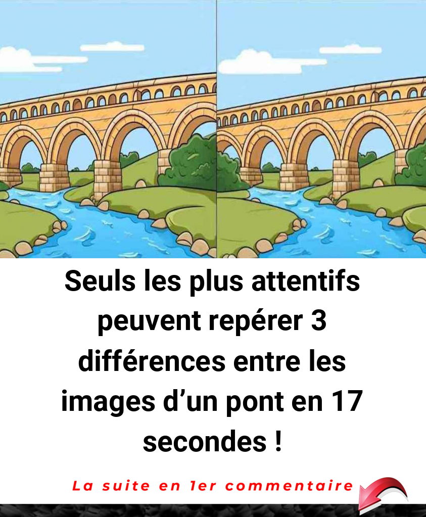 Seuls les plus attentifs peuvent repérer 3 différences entre les images d'un pont en 17 secondes !