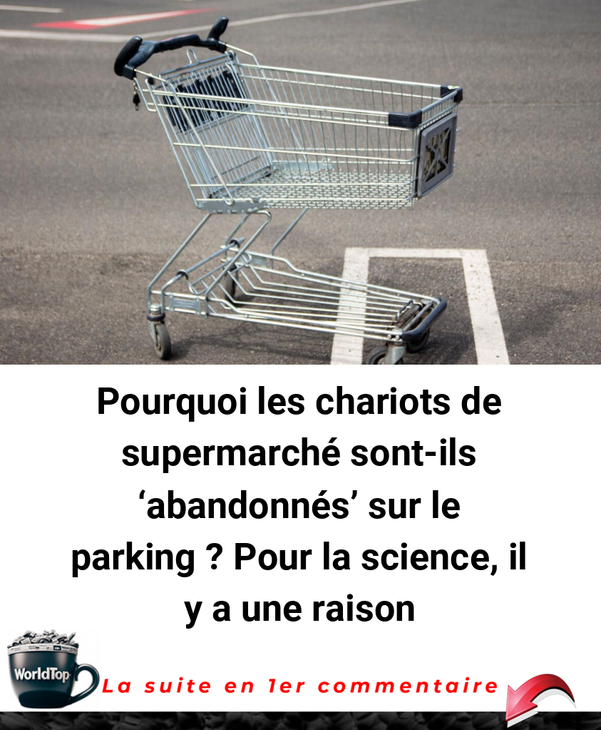 Pourquoi les chariots de supermarché sont-ils 'abandonnés' sur le parking ? Pour la science, il y a une raison