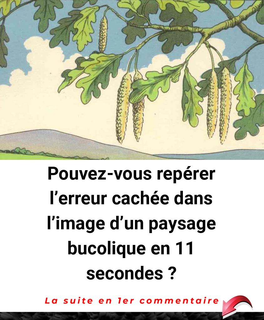 Pouvez-vous repérer l’erreur cachée dans l’image d'un paysage bucolique en 11 secondes ?