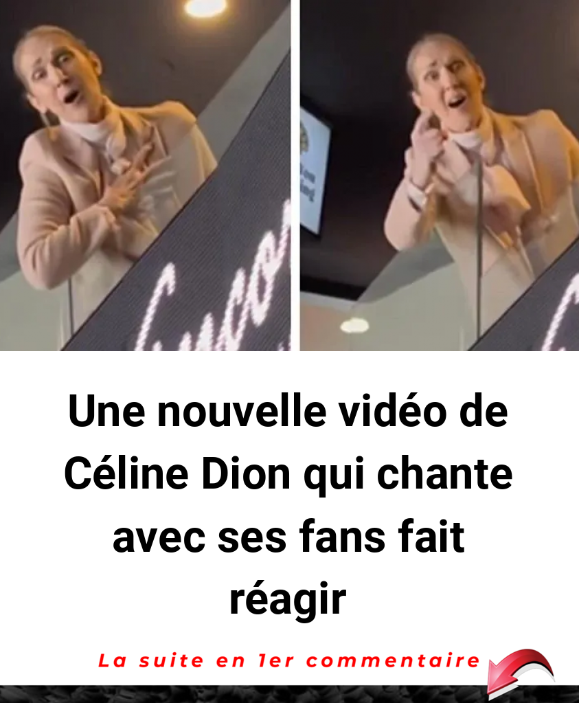 Une nouvelle vidéo de Céline Dion qui chante avec ses fans fait réagir