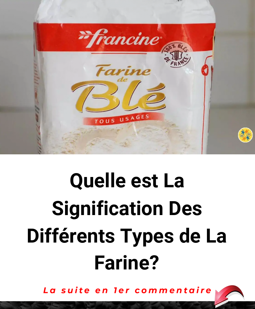 Quelle est La Signification Des Différents Types de La Farine?